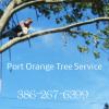 Photo for Port Orange Tree Service