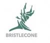 Photo for Bristlecone Construction
