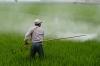 Photo for The Herbicides market will rise at a positive CAGR of 6.20% by 2023.