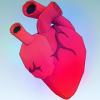 Photo for Transcatheter Heart Valve Market Analysis and Opportunity Assessment 2007 to 2020
