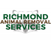 Photo for Richmond Animal Removal Services