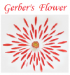 Photo for Gerber's Flower