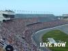 Photo for Super Bowl 2016 Live Streaming® NFL XLIX