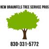 Photo for New Braunfels Tree Service Pros