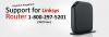 Photo for Online Linksys Router Support