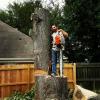 Photo for Memphis Tree Service
