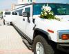 Photo for Limos Of Cocoa Beach