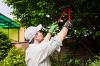 Photo for Tree Service Columbus Ohio