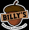 Photo for Billy's Wildlife Control
