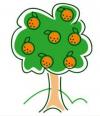 Photo for Orange Tree Pool Services