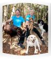 Photo for Dog Walking Oxted