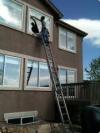 Photo for Window washing Houston
