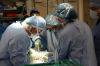 Photo for Global Market for Organ Transplant Immunosuppressant Drugs to Register -7% CAGR till 2023 due to Absence of Sufficient Organ Donors