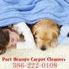 Photo for Port Orange Carpet Cleaners