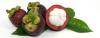Photo for Garcinia cambogia