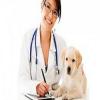 Photo for Central Whidbey Veterinary Services