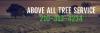 Photo for Above All Tree Service