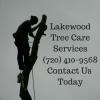 Photo for Lakewood Tree Care Services