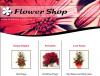 Photo for Romanian Flowers