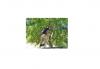 Photo for DeMar Tree Service & Landscaping Service