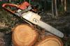 Photo for Affordable Carolina Tree Service