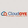 Photo for CloudOYE is an Established Cloud CDN Service Provider in USA