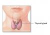 Photo for Global Thyroid Gland Disorders Treatment Market to be Led by North America, Asia Pacific to Exhibit Growth at Fastest Pace