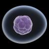 Photo for Global Cancer Diagnostics Market is Expected to Grow at a CAGR of 7.6% during 2015 to 2022
