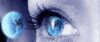 Photo for IMM Financial Mortgage