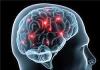 Photo for Brain Injury Clinical Trials Review 2016 By Global Market Research Store