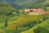 Photo for Vietnam Travel Agencies