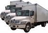 Photo for Swifty Movers