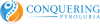Photo for Conquering Pyroluria - Dr Greg Newson N.D.
