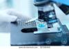 Photo for Largest share of the Automated Microscopy Market  Globally