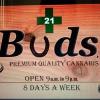 Photo for Buds,Ltd.