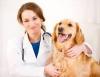 Photo for Linda Oliva, DVM, PA