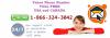 Photo for Yahoo Password Reset 1-866-324-3042 Toll Free USA