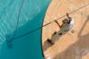 Photo for Best Pool Service Glendale