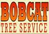 Photo for Bobcat Tree Service