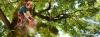 Photo for Tree Tender LLC