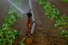 Photo for Micro Irrigation Systems Market Expected to Reach US$ 9.14 Bn by 2023 Globally