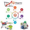 Photo for Magento Development Company