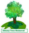 Photo for Albany Tree Removal