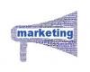 Photo for Effective SEO Experts