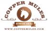 Photo for Moscow mule copper mug
