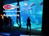 Photo for Maui Ocean Center Aquarium Attraction Maui Hawaii