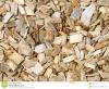 Photo for playground wood chips