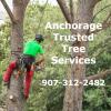 Photo for Anchorage Trusted Tree Services