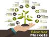Photo for Global Biochar Market Will Expand at a CAGR of 14.8% from 2013 to 2021