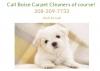 Photo for Boise's Carpet Cleaners